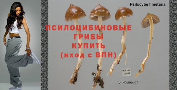 прущая мука Заволжск
